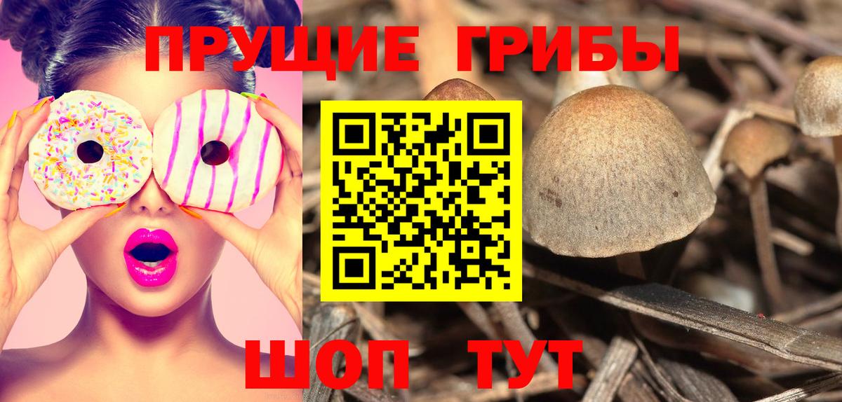 Псилоцибиновые грибы Psilocybe  Вход с VPN  Алушта 
