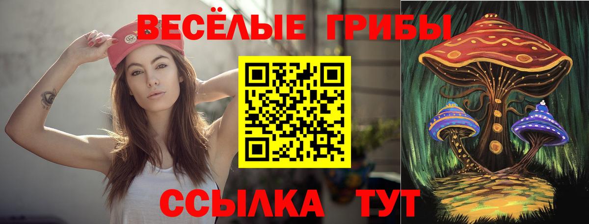 Псилоцибиновые грибы мухоморы Алушта